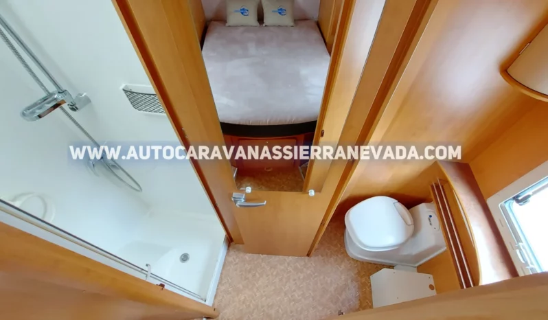 FLEURETTE MIGRATEUR 73LM lleno