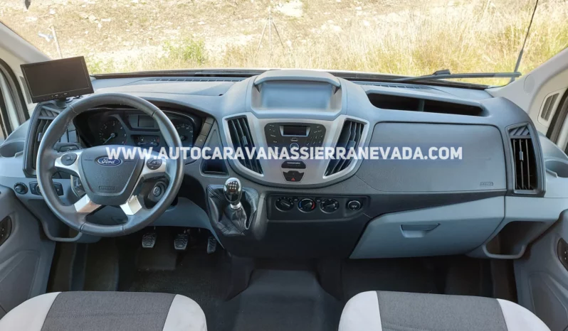 BENIMAR TESSORO 481 lleno