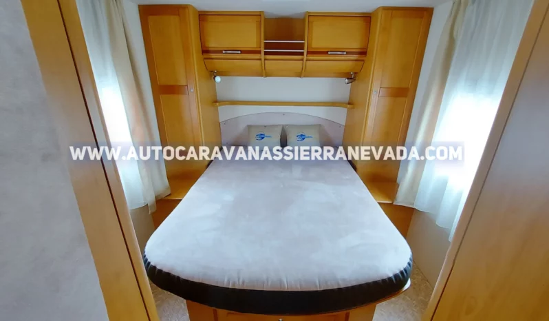 FLEURETTE MIGRATEUR 73LM lleno