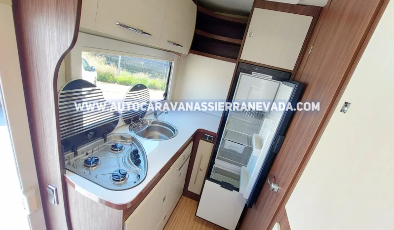 BENIMAR TESSORO 481 lleno