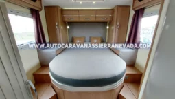 MCLOUIS MC4 – 74G lleno