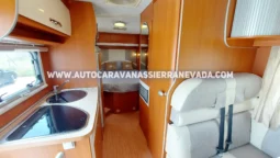 MCLOUIS YEARLING 72 lleno