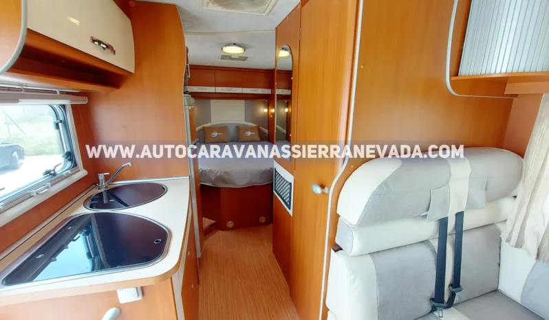 MCLOUIS YEARLING 72 lleno