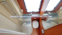 MCLOUIS YEARLING 72 lleno