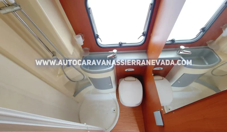 MCLOUIS YEARLING 72 lleno