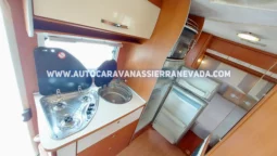 MCLOUIS YEARLING 72 lleno