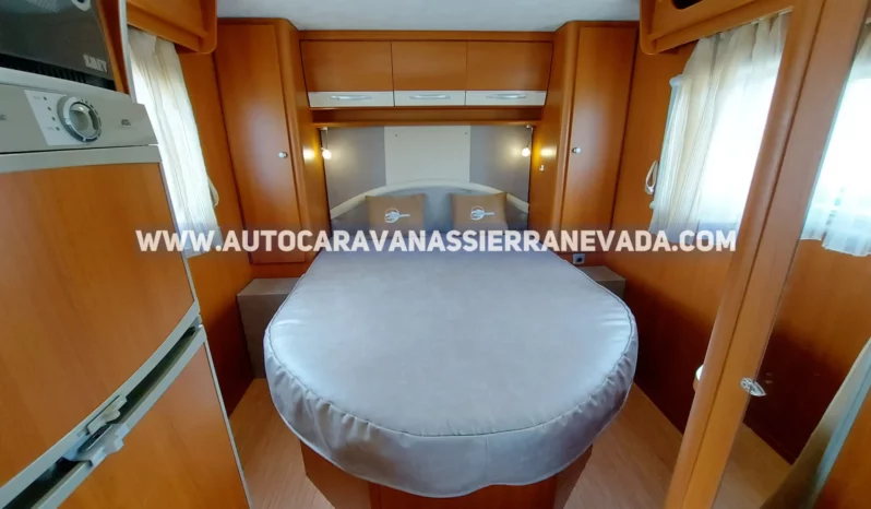 MCLOUIS YEARLING 72 lleno