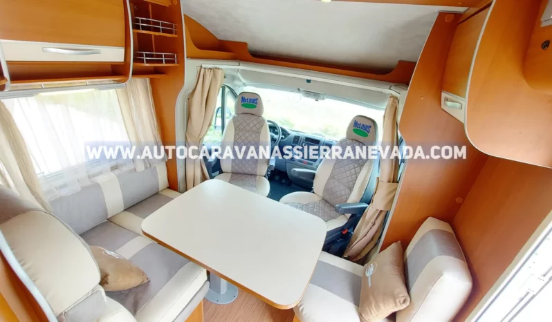 MCLOUIS YEARLING 72 lleno