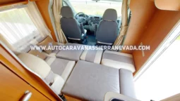 MCLOUIS YEARLING 72 lleno