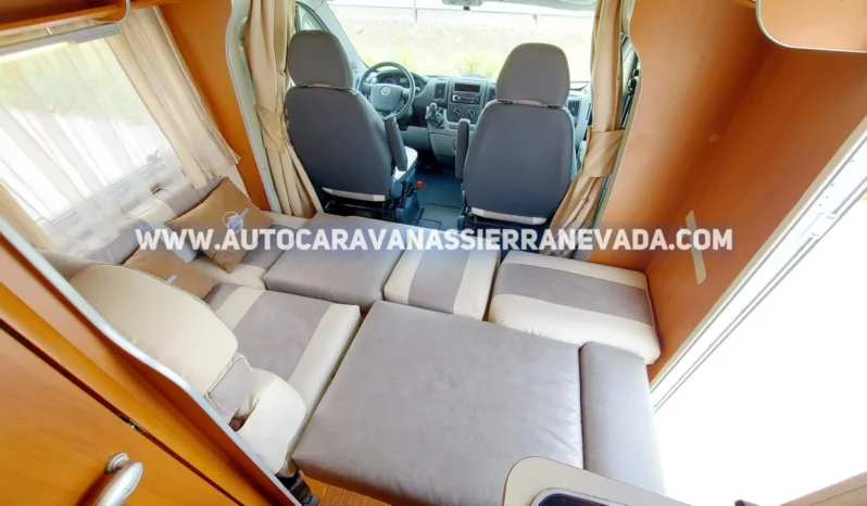 MCLOUIS YEARLING 72 lleno