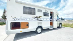 MCLOUIS YEARLING 72 lleno