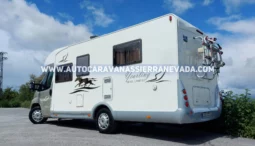 MCLOUIS YEARLING 72 lleno