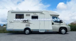 MCLOUIS YEARLING 72 lleno