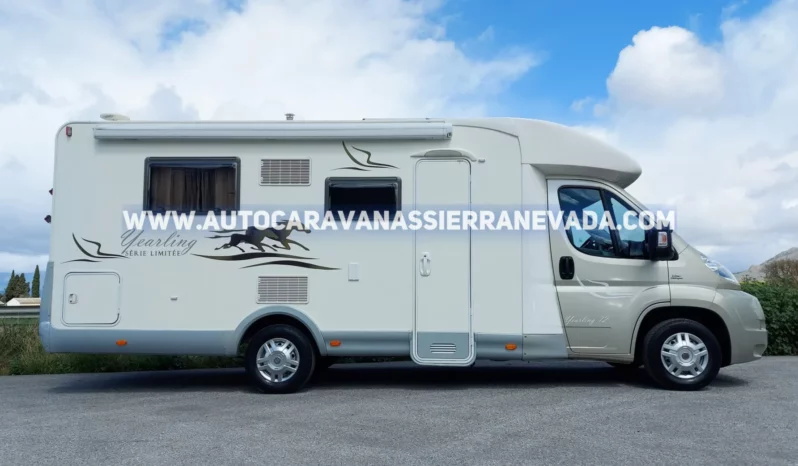 MCLOUIS YEARLING 72 lleno