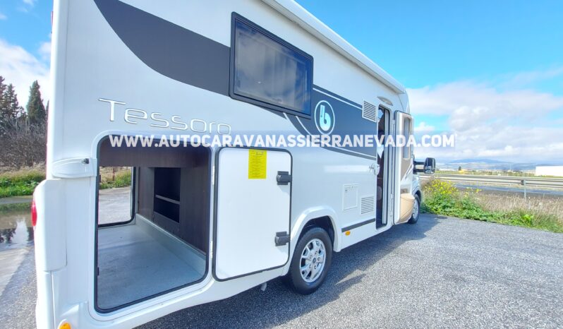 BENIMAR TESSORO 495 lleno