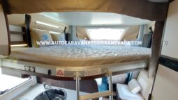 BENIMAR TESSORO 495 lleno