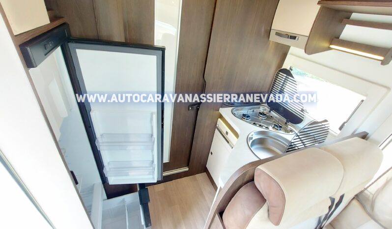 BENIMAR TESSORO 495 lleno