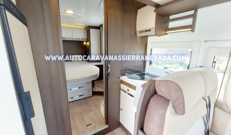 BENIMAR TESSORO 495 lleno